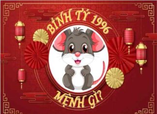 Xem mệnh theo năm sinh 1996 mệnh tuổi gì và hợp màu gì? Xem mệnh theo năm sinh 1996, mệnh gì và hợp màu gì?