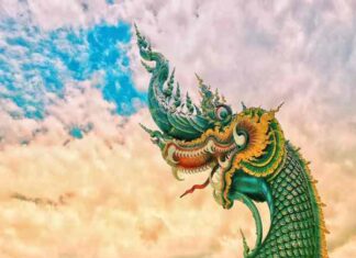 Giải mã giấc mơ thấy rồng và con số may mắn liên quan