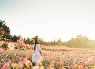 Tử vi ngày 9/12/2018 chủ nhật của 12 cung hoàng đạo Tử vi ngày 9/12/2018 chủ nhật của 12 cung hoàng đạo