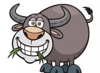 mơ thấy trâu đen điềm gì