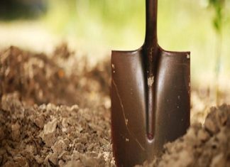 Mơ thấy cuốc xẻng có điềm báo gì? Đánh con số nào? Mơ thấy cuốc xẻng có điềm báo gì?