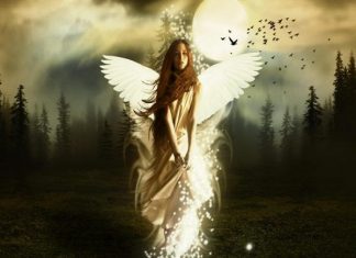 Mơ thấy cô tiên mang điềm báo tốt đẹp gì, số nào hên? Mơ thấy cô tiên điềm gì?