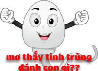 Nằm mơ thấy tinh trùng và ý nghĩa phong thủy nên biết Nằm mơ thấy tinh trùng có điềm báo gì?