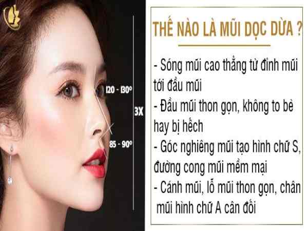 Tướng mũi dọc dừa có hình dạng như thế nào?