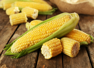 Mơ thấy bắp ngô gửi tới điềm báo gì? Gợi ý những con số may mắn nào? Mơ thấy bắp ngô gửi tới điềm báo gì? Gợi ý những con số may mắn nào?