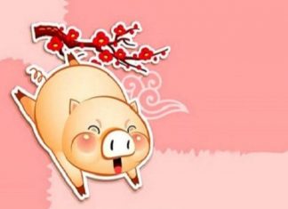 van-han-dinh-hoi-nam-2020