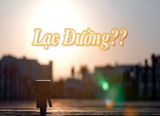 Mơ thấy bị lạc đường đánh con gì, mang điềm báo gì?