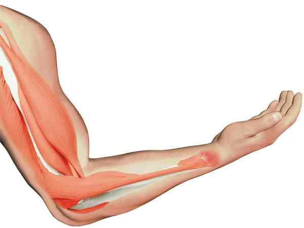 Thịt giật lúc 7h – 9h