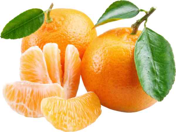 Nằm mơ thấy quả quýt chín vàng: Vận may sắp tới