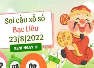 Thống kê lô VIP xổ số Bạc Liêu ngày 23/8/2022 thứ 3 hôm nay