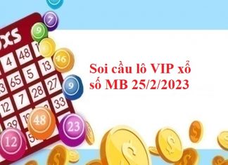 Thống kê lô VIP xổ số MB 25/2/2023