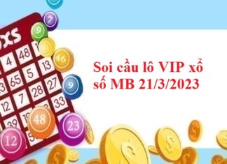 Thống kê lô VIP xổ số miền Bắc 21/3/2023
