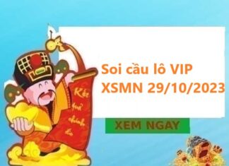 Thống kê lô VIP XSMN 29/10/2023