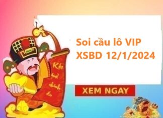 Thống kê lô VIP XSBD 12/1/2024