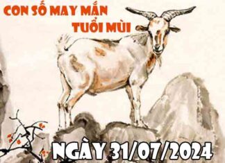 Nhận định con số may mắn tuổi Mùi ngày 31/7/2024 thứ 4 hôm nay