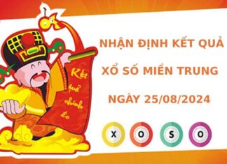 Nhận định kết quả XSMT ngày 25/8/2024 chuẩn xác nhất