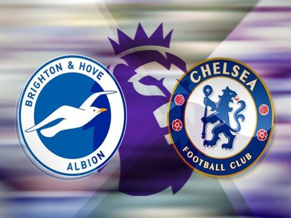 Phân tích đối đầu Brighton vs Chelsea, 03h00 ngày 15/2