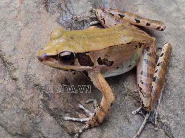 Trường hợp cần cẩn trọng