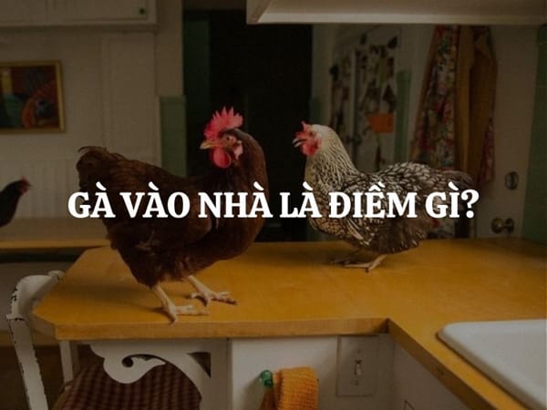 Gà – biểu tượng đặc biệt trong văn hóa phương Đông