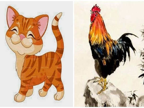 Vậy tuổi Mão và tuổi Dậu có hợp nhau không?