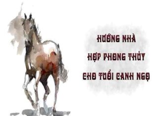 1990 hợp hướng nào