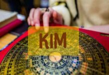 Sim phong thủy hợp mệnh kim