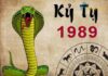 kỷ tỵ hợp hướng nào