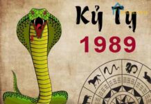 kỷ tỵ hợp hướng nào