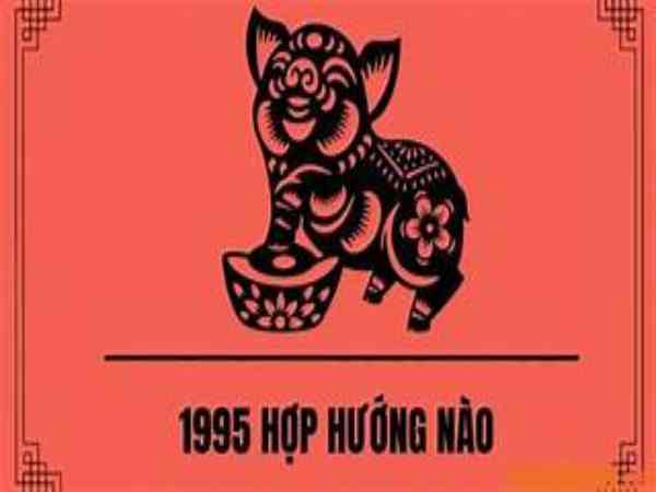Nam 1995 hợp hướng nào?