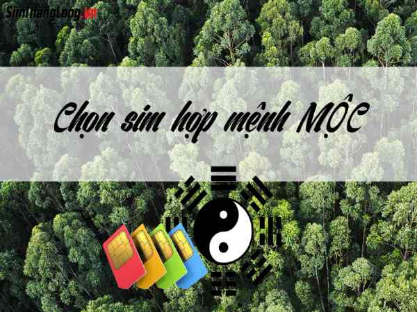 Vài nét về người mệnh Mộc