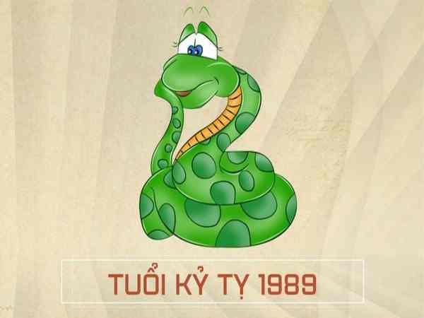 Nữ Kỷ Tỵ 1989 hợp hướng nào?