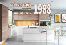 hướng bếp tuổi mậu thìn