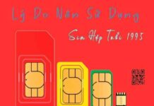 Sim hợp tuổi 1995