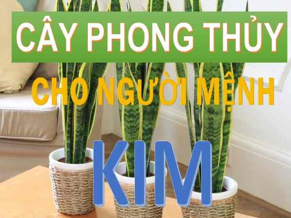 Đặc điểm của người mệnh Kim