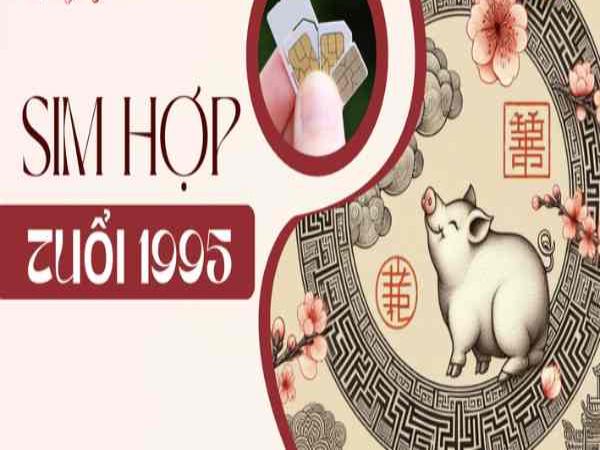 Cách xác định sim hợp tuổi 1995 Cách xác định sim hợp tuổi 1995