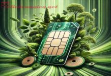 sim hợp mệnh mộc