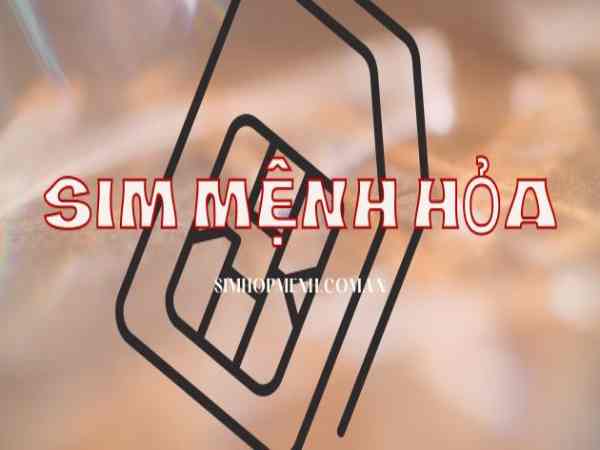 Sim Tam Hoa – Tứ Quý