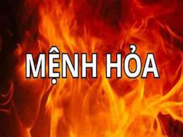 Tổng quan tuổi Bính Dần 1986 – mệnh gì, hợp gì?