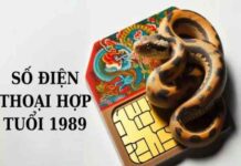 sim hợp tuổi 1989