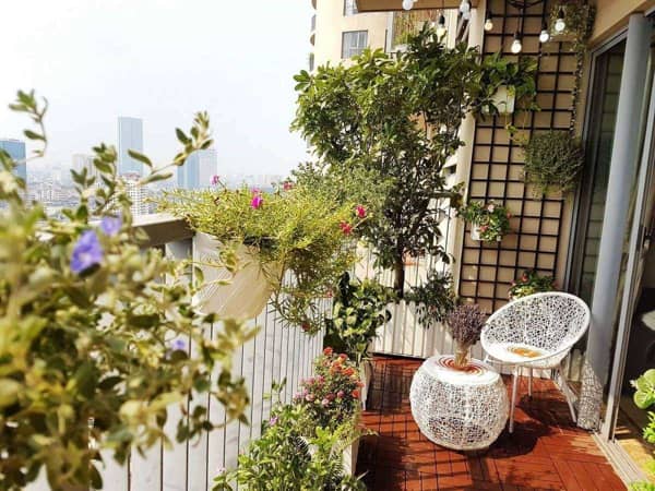 Vị trí trồng cây ở ban công theo phong thủy