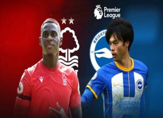 Nottingham vs Brighton: Nhận định 21h05 ngày 30/11