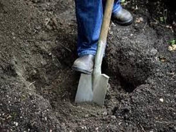 Ý nghĩa chung của giấc mơ thấy mua đất