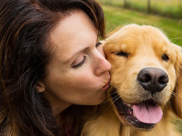 Nằm mơ thấy chó quấn quýt có điềm gì, dữ hay lành?