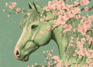 con số đẹp tuổi Nhâm Ngọ ngày 24/12/2025