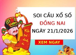 Soi cầu xổ số Đồng Nai ngày 21/1/2026 hôm nay miễn phí