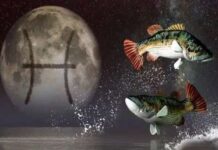 Con số may mắn cung Song Ngư thứ 5 ngày 26/2 chuẩn xác